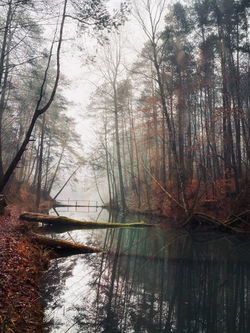 Staw Czerwony Klucze