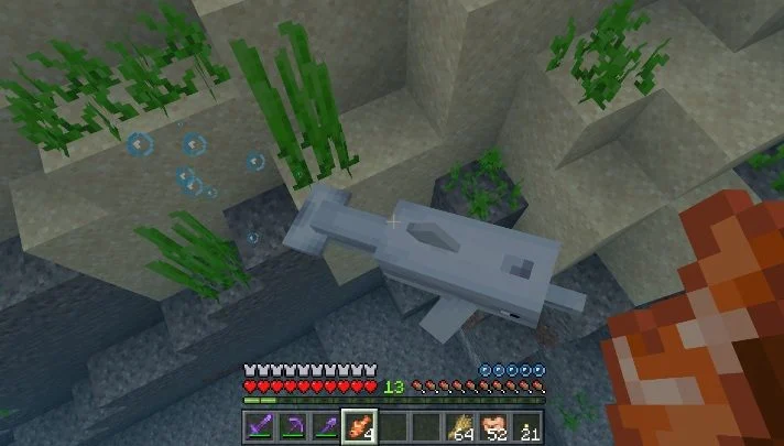 A Minecraft player leading their tamed dolphin into its new, secure aquatic haven.