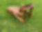 QkrevwGgQ�n6AJX!Fg.jpg
