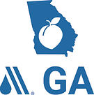 Georgia Section Logo_P2.jpg