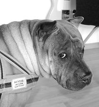 00_Hugo Profil-min_edited.jpg