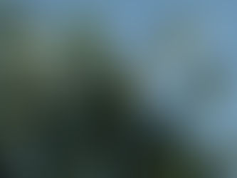 久住高原 みずしの森へ