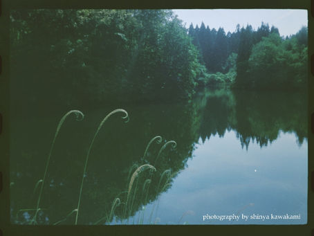 ときどきフィルムカメラ 6 half