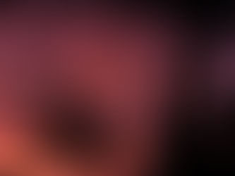 雨音の奄美大島 その2