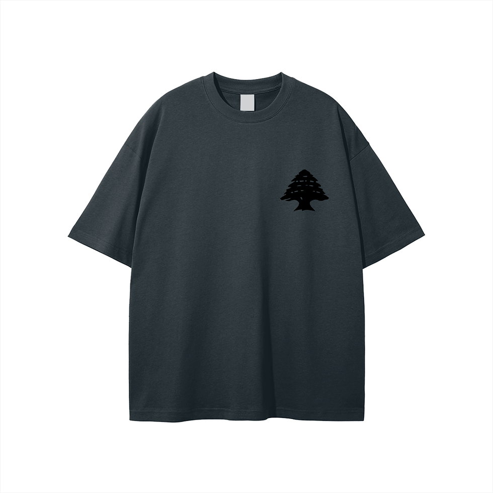 Thumbnail: Lebanon Passport Unisex T-shirt