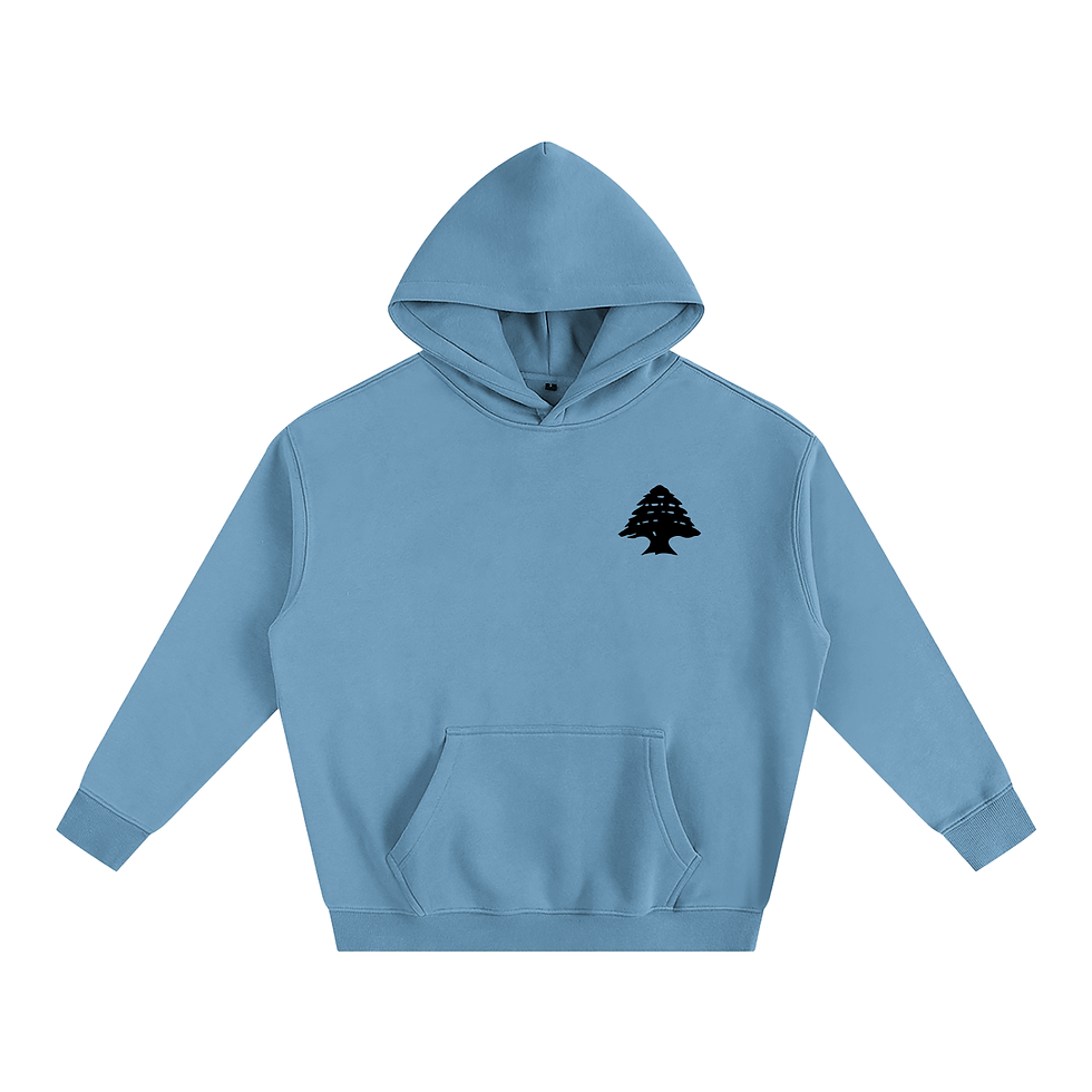 Thumbnail: Lebanese Passport Oversized Hoodie