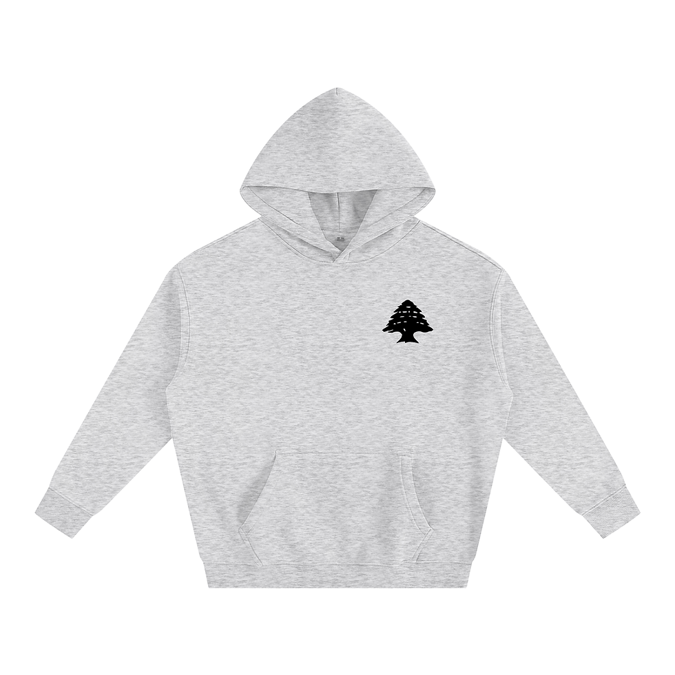 Thumbnail: Lebanese Passport Oversized Hoodie