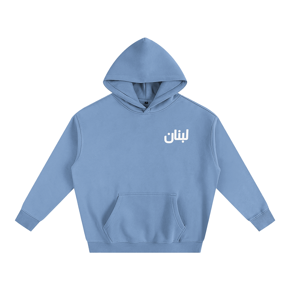 Thumbnail: Beirut to the World Oversize Fleeced Hoodie