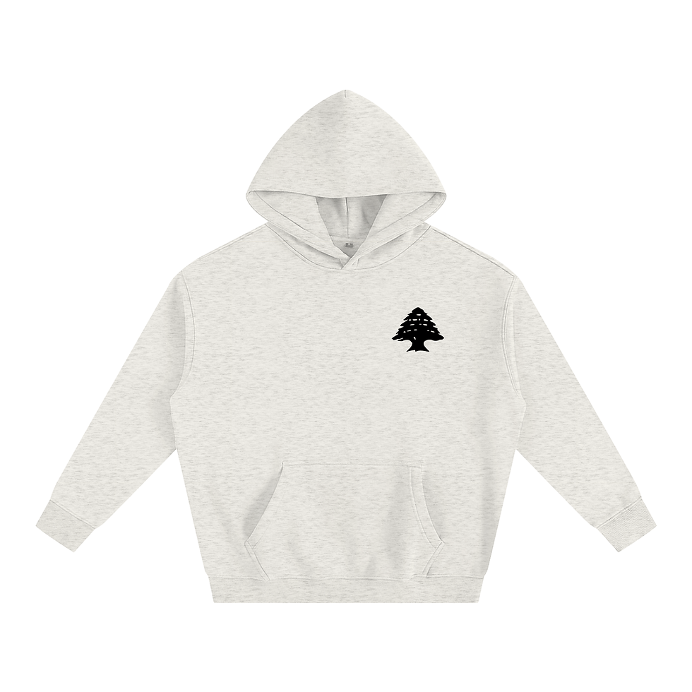 Thumbnail: Lebanese Passport Oversized Hoodie
