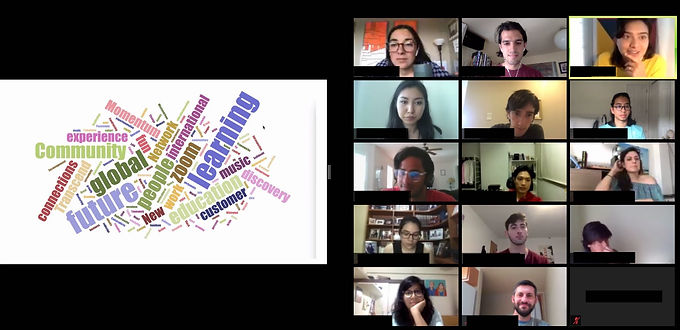 Maximizing Zoom for Interactive Experiences