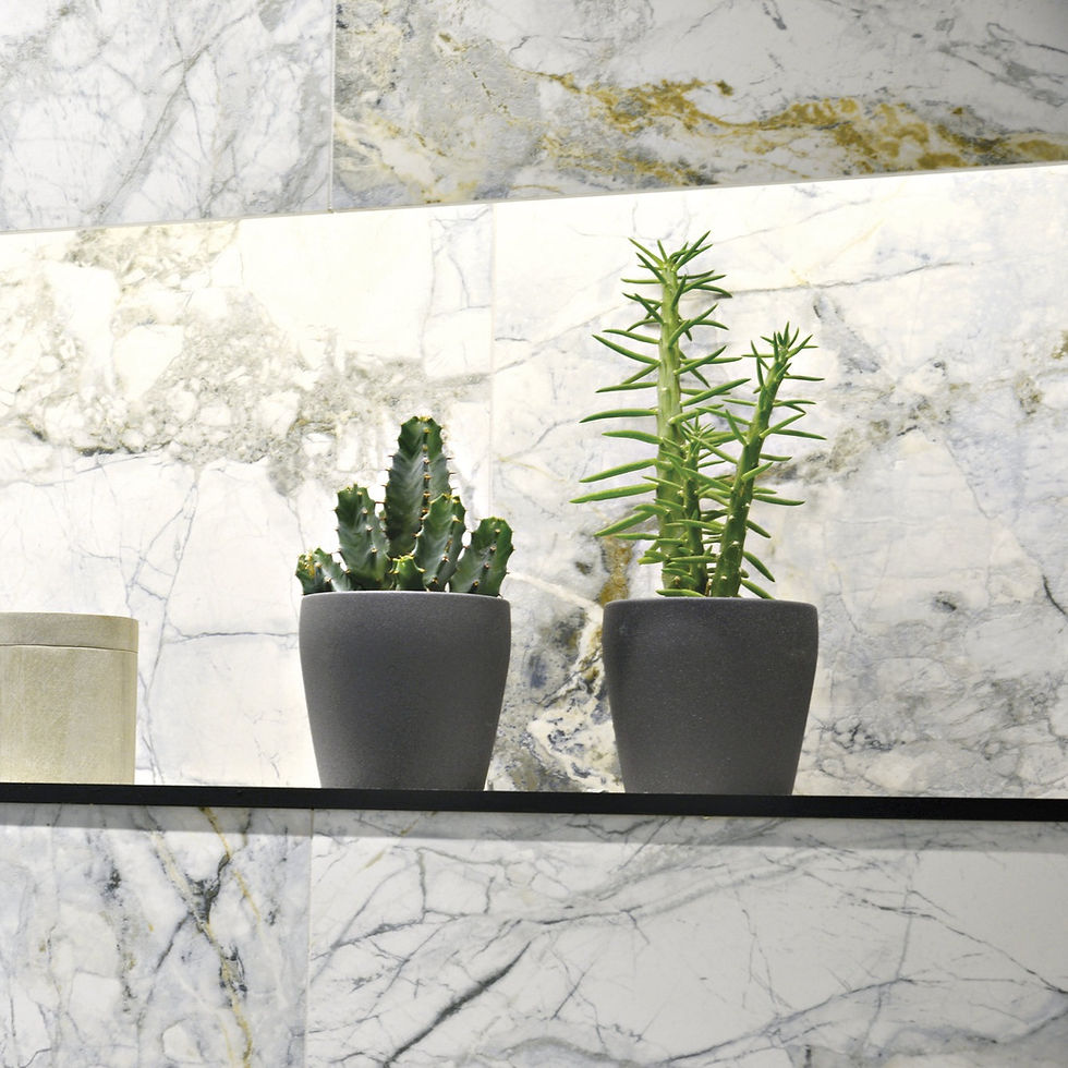 Plants on a countertop made with 4D Transcendent White Tile