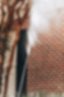 Soft Washing Pressure Washing Red Brick Home.jpg