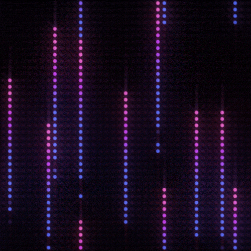led gif.gif