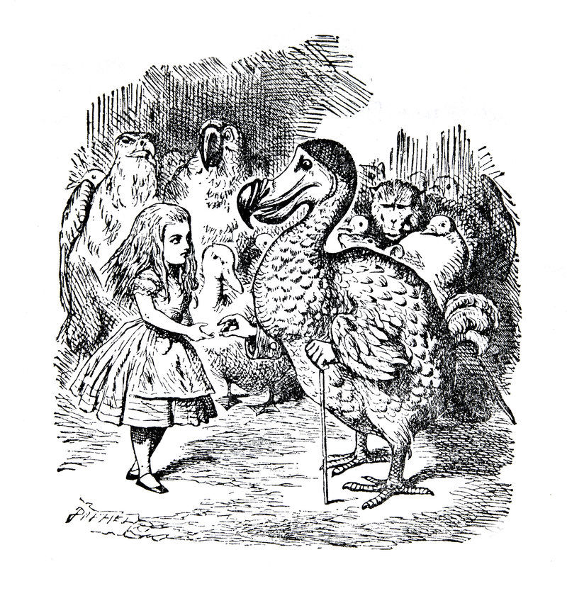 As Dead As A Dodo