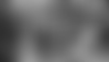 La France se souvient de ses harkis