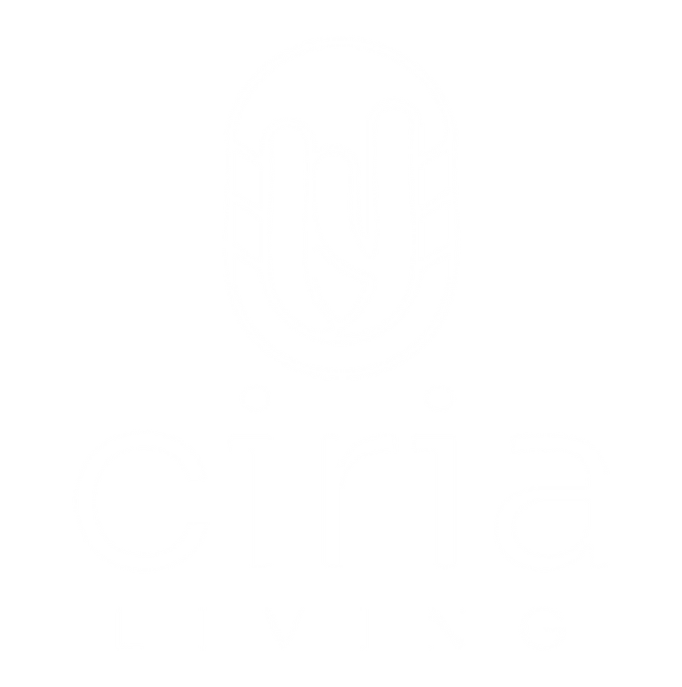 Logo CIRIA_V-blanco.png
