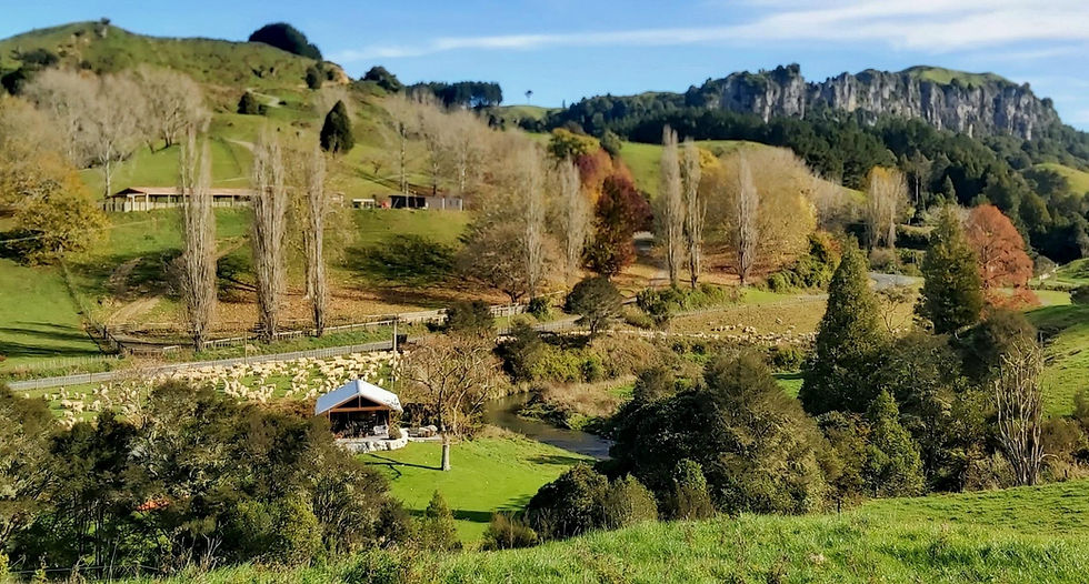 Ripples Retreat luxury riverside cabins in Waitomo, featured among New Zealand’s best unique stays