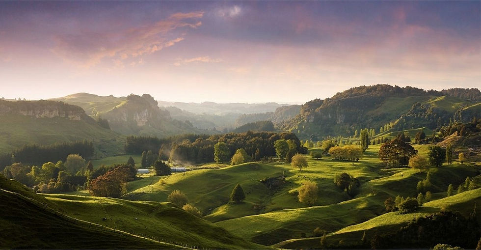 Stunning New Zealand farm land views at Ripples Retreat