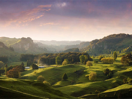 You won’t find this anywhere else in New Zealand