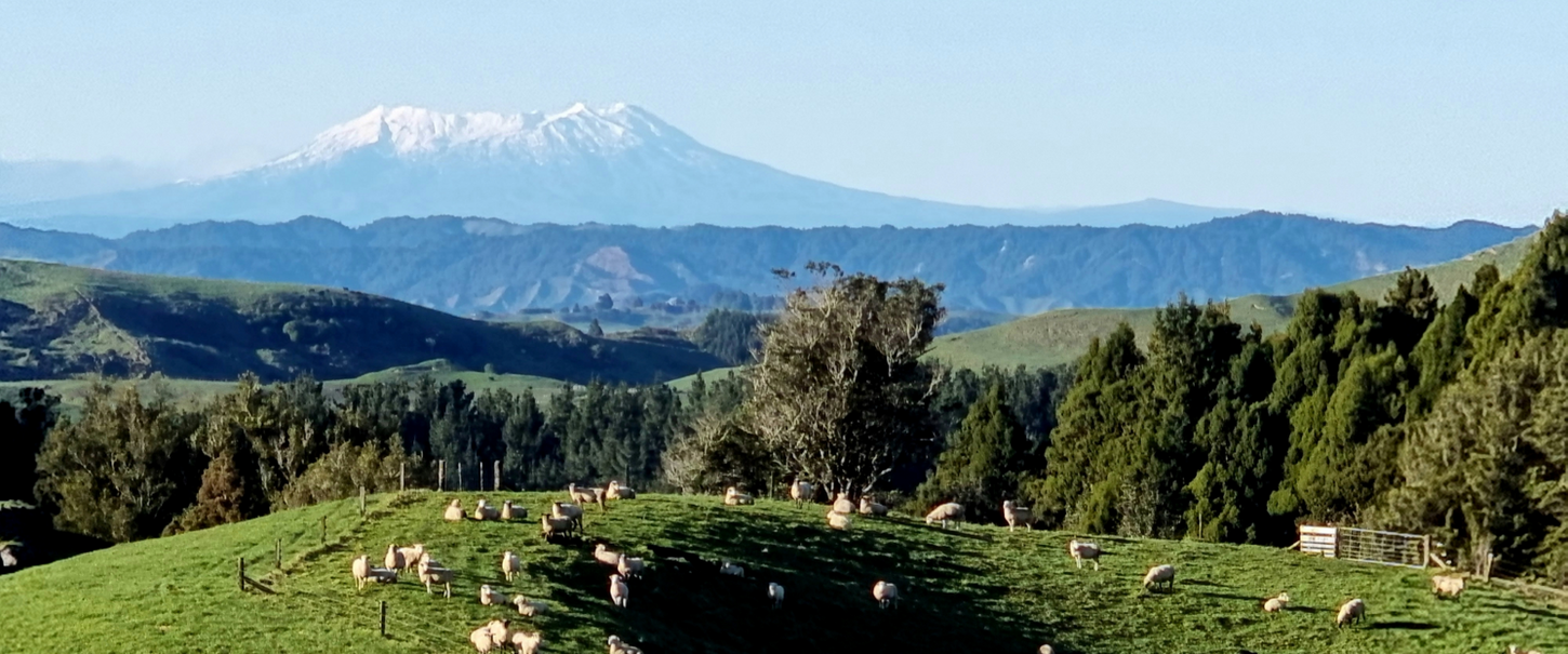 View towards Mount Ruapehu from Ripples Retreat in New Zealand.