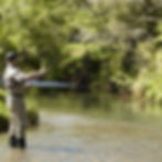Fisherman Fky Fishing at Ripples Retreat Waikato New Zealand