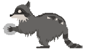 raccoon-large.png