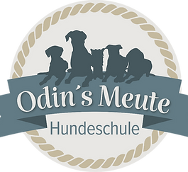 Wir haben noch freie Plätze