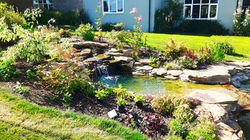 small-waterfall-and-pond