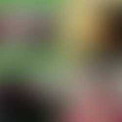 Why my IDE990 Independent Study was so important to me.