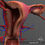 Thumbnail: Female Reproductive