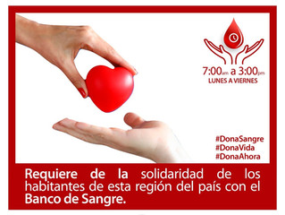 Campaña de Donación de Sangre