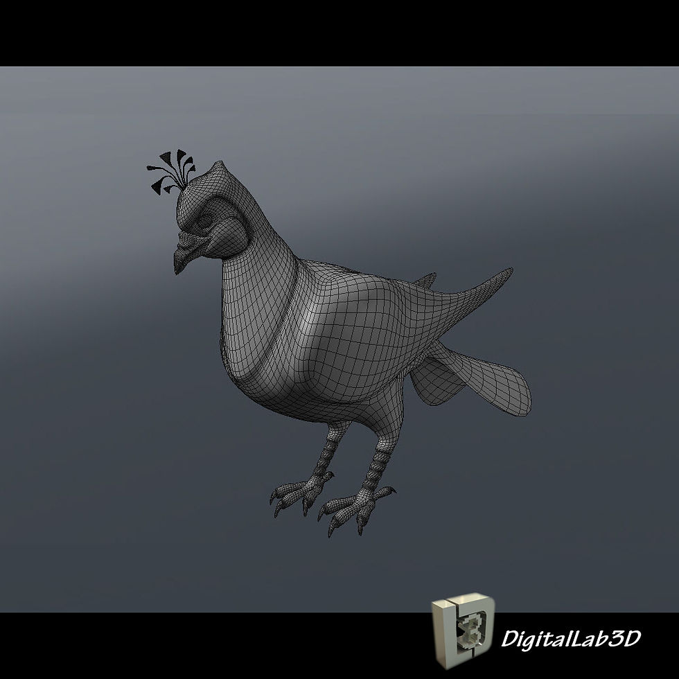 Thumbnail: Pigeon