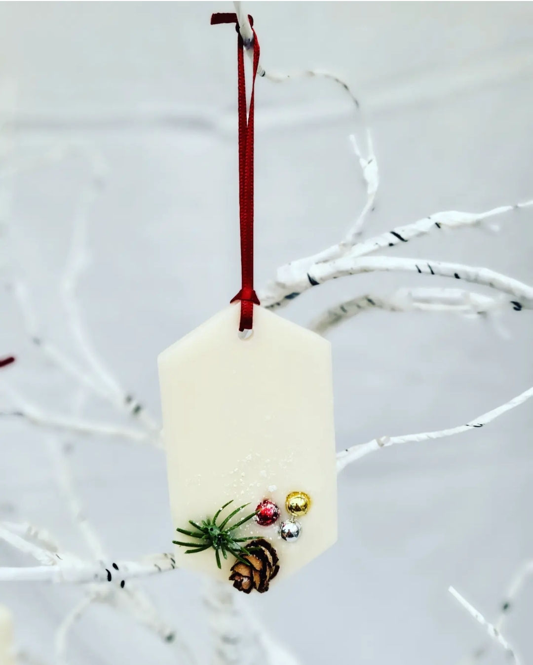 Christmas Scented Wax Tabs