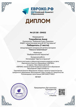 diplom_204832_page-0001