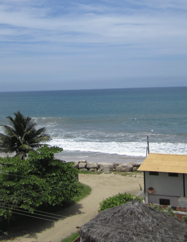 IMG_00274web.gif