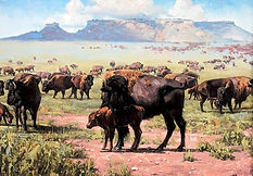 Screenshot 2025-11-07 at 10.30.43 AM.jpeg