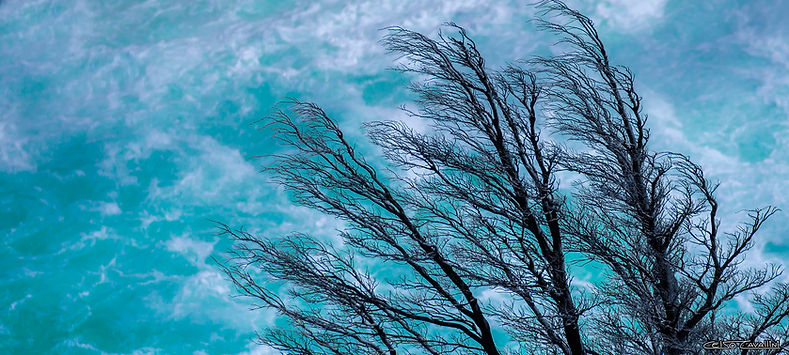 Galeria Cavallini Quadros Natureza paisagem Villa Lobos Shopping Landscape fineart fineart
