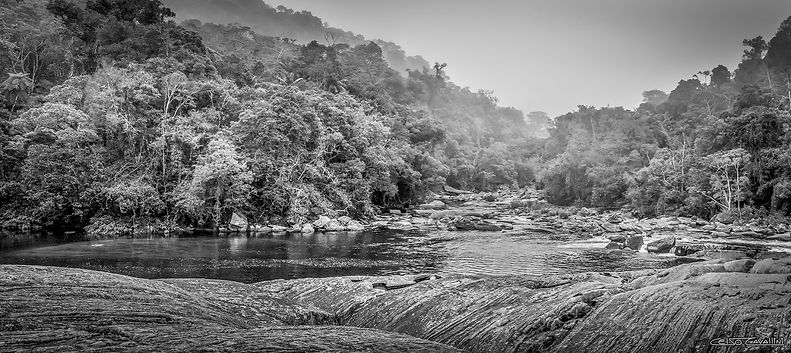 Galeria Cavallini Quadros Natureza paisagem Villa Lobos Shopping Landscape fine art fineart