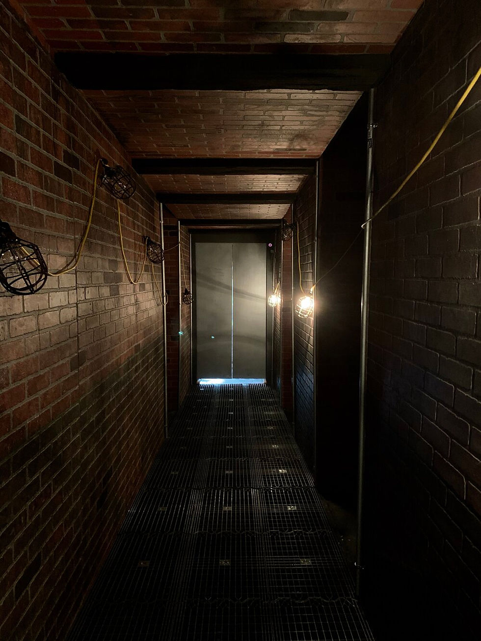 The Gryphon Immersive Experience