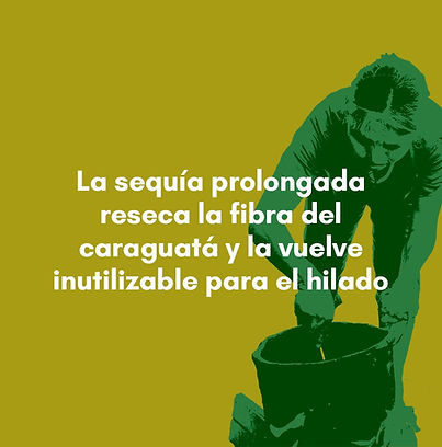 67 _160125.jpg