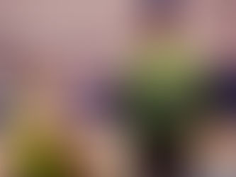 Amivel Reyes Gutiérrez buscará volver a la senda de la victoria ante CB Sureste (Jueves, 16:00 horas)