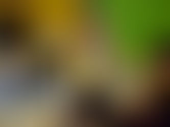 Amivel Reyes Gutiérrez se cita con la historia en Meylan