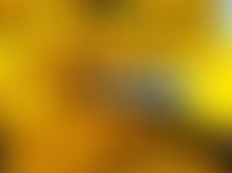 Hydraulic System Failures in Heavy Equipment & Marine Vessels – Miami Repair Experts