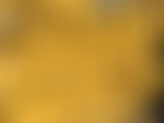 Marine Diesel Engine Rebuilds Miami – Tugboats, Workboats & Yachts