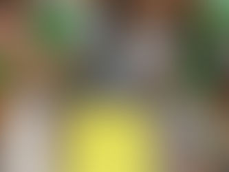 金曜日の小学生クラス