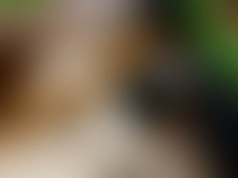 火曜日の小学生クラス