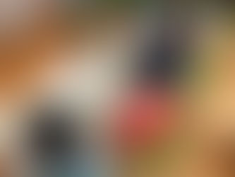 久しぶりに太陽が…!