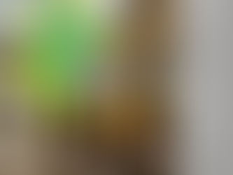 ⭐️⭐️体験レッスン随時受付中⭐️⭐️