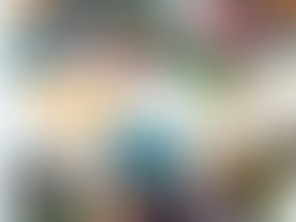 土曜日⭐️キンダークラス