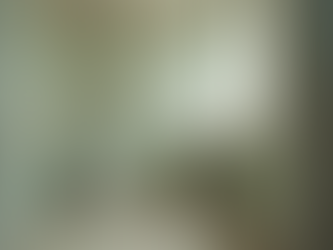 Top Home Maintenance Challenges in Puerto Rico